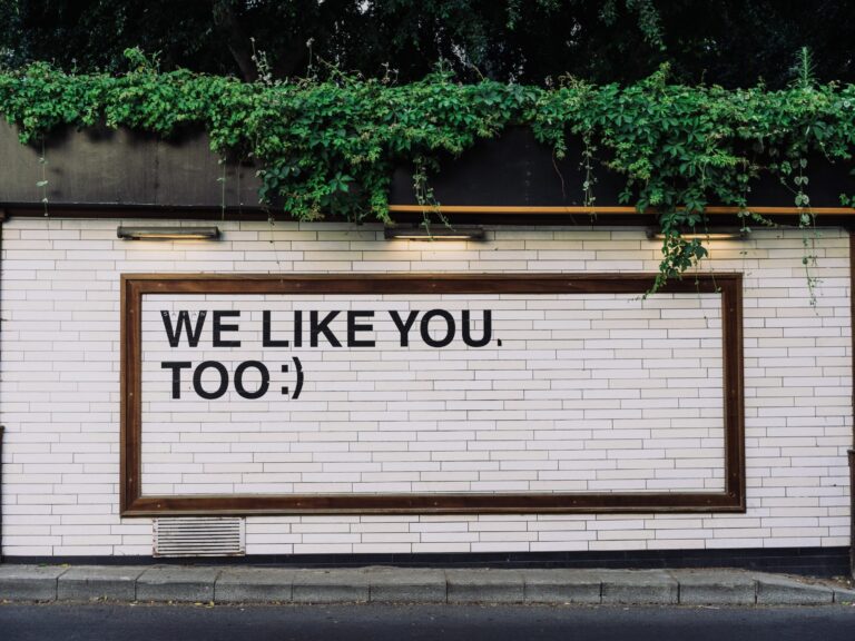 Brandambassadors 360° marketing campagne